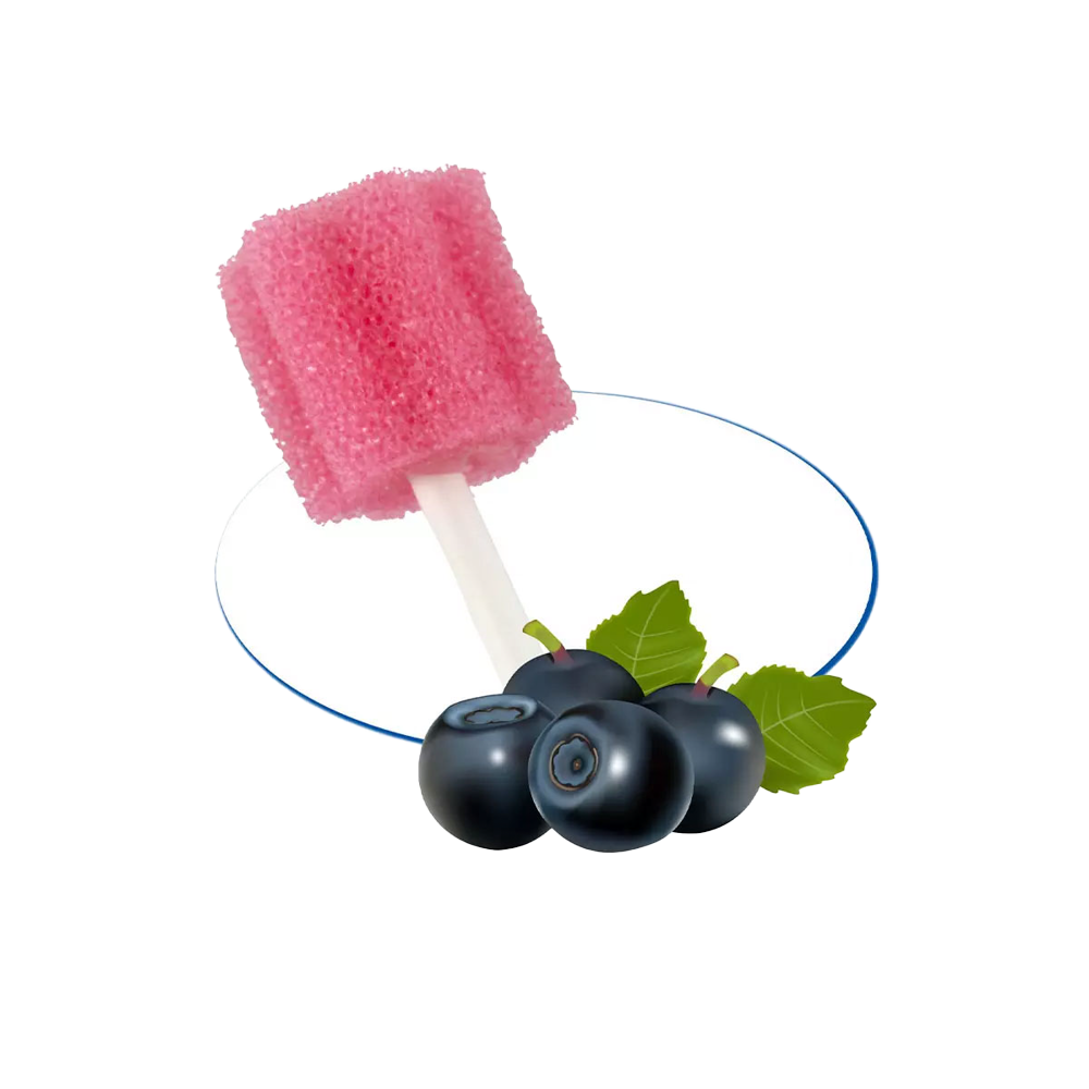 09156-2 Štapići za njegu usne šupljine borovnica 250kom